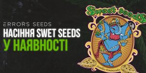 Пополнение семян Sweet Seeds!