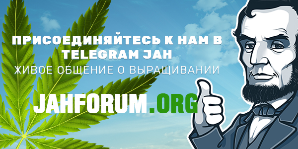 JahForum Telegram