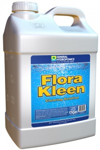 Flora Kleen