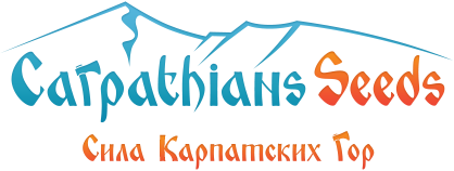 Новые сорта от CarpathiansSeeds