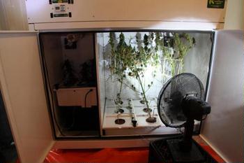 Гроубокс для выращивания марихуаны своими руками браузер с тор на андроид гирда