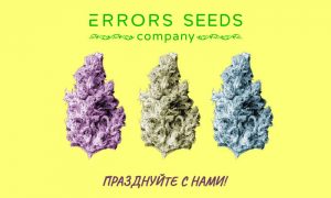 День Рождения компании Erros-seeds