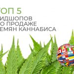 ТОП 5 мировых сидшопов по продаже семян каннабиса