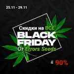 Black Friday только с Errors Seeds!