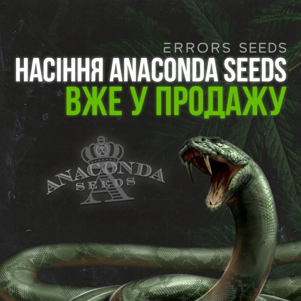 Пополнение семян Anaconda Seeds