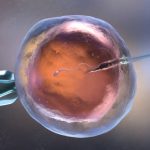 Влияние каннабиса на мужскую и женскую репродуктивную систему и фертильность