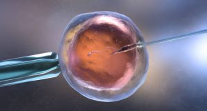 Влияние каннабиса на мужскую и женскую репродуктивную систему и фертильность