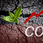 Использование углекислого газа для улучшения роста каннабиса